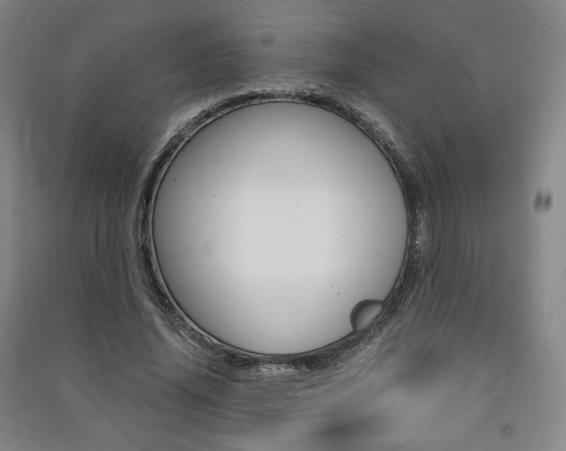 X0000091490636200708161211