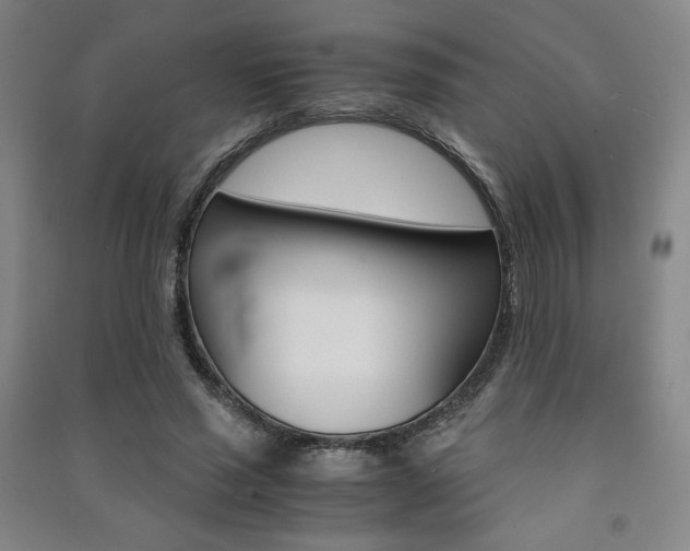 X0000091490637200708161211