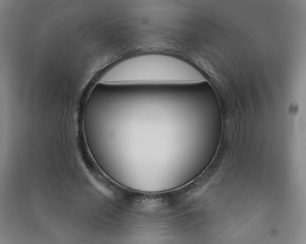 X0000091490638200708161211