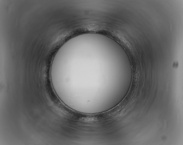 X0000091490639200708161211