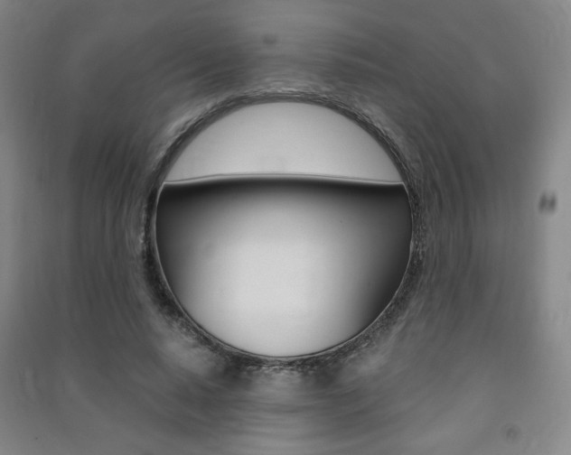 X0000091490640200708161211