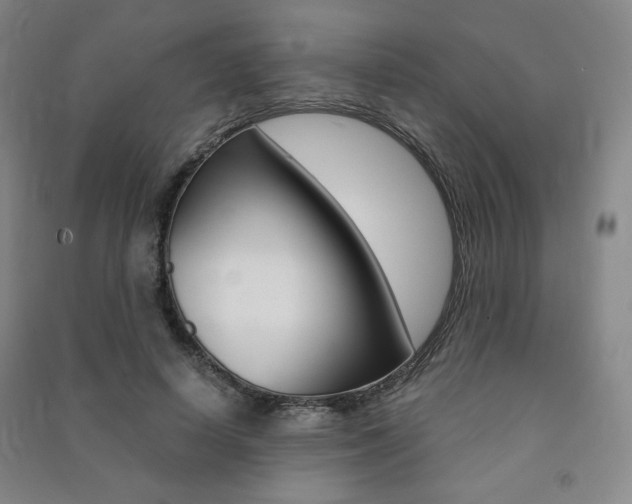 X0000091490642200708161211