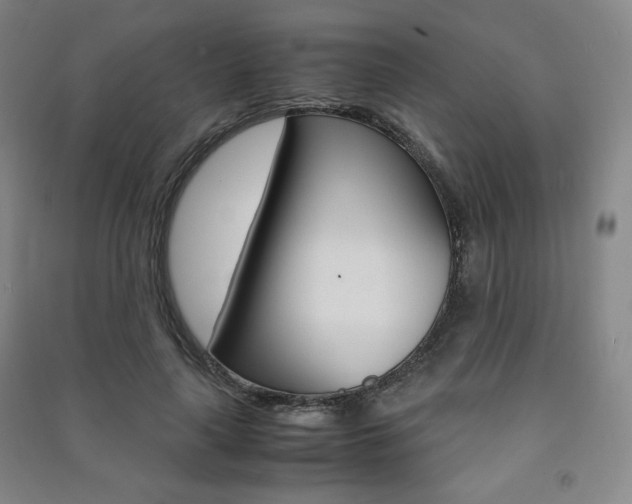 X0000091490643200708161211