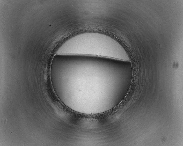 X0000091490644200708161211