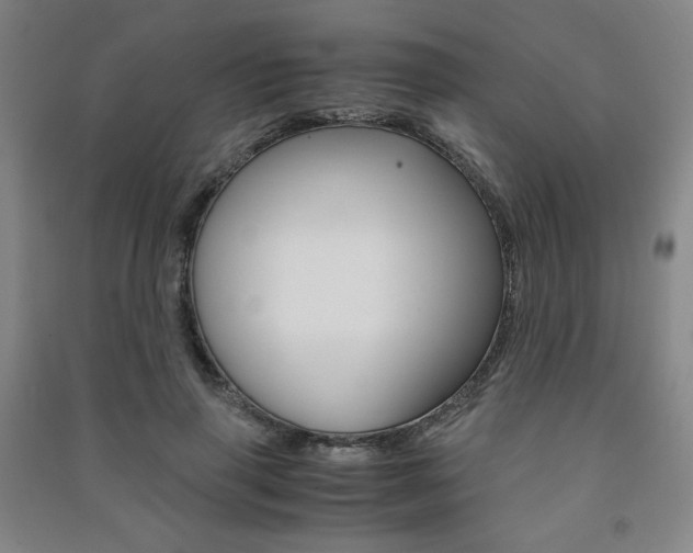 X0000091490645200708161211