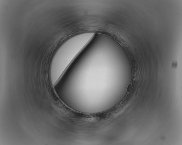 X0000091490646200708161211