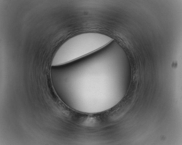 X0000091490647200708161211