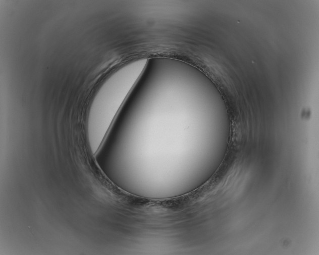 X0000091490648200708161211