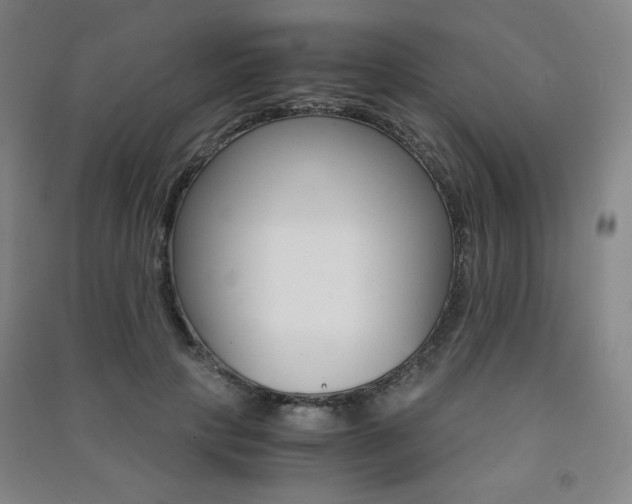 X0000091490649200708161211