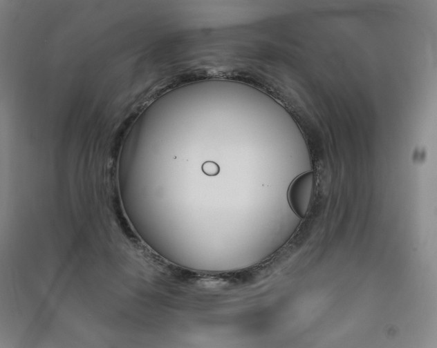 X0000091490650200708161211