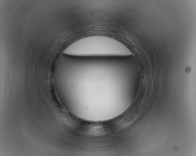 X0000091490651200708161211