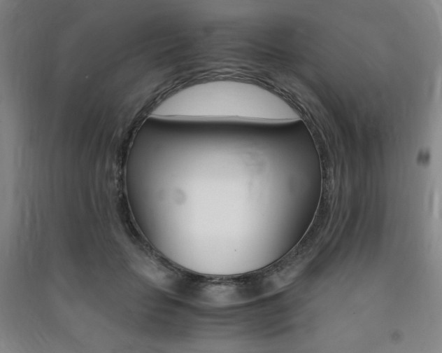 X0000091490653200708161211