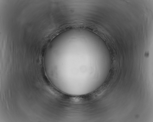 X0000091490654200708161211