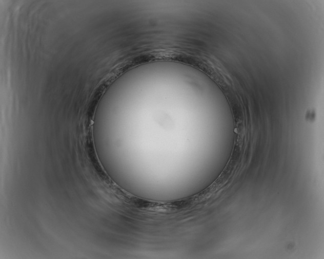 X0000091490655200708161211