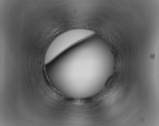X0000091490656200708161211