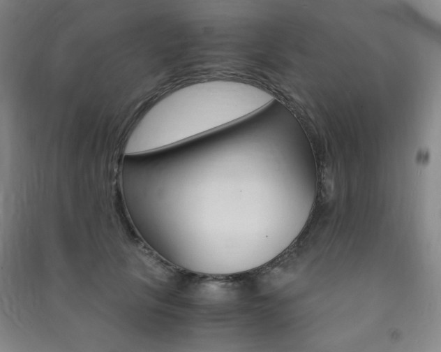 X0000091490657200708161211