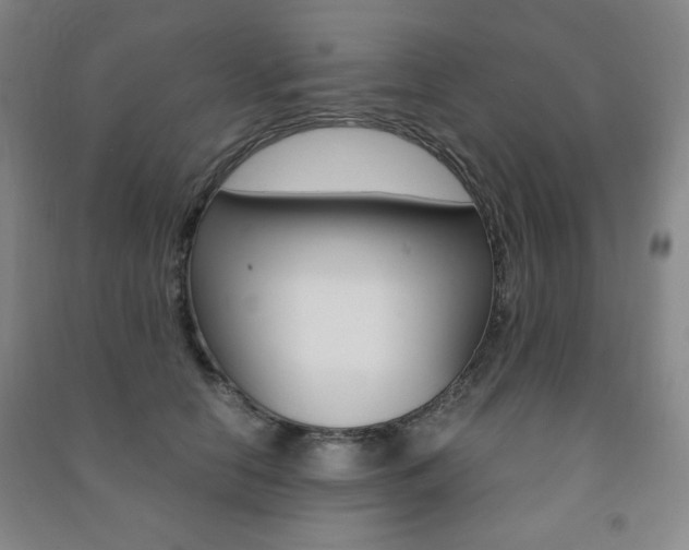 X0000091490658200708161211