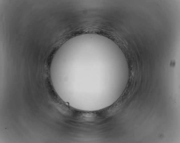 X0000091490659200708161211