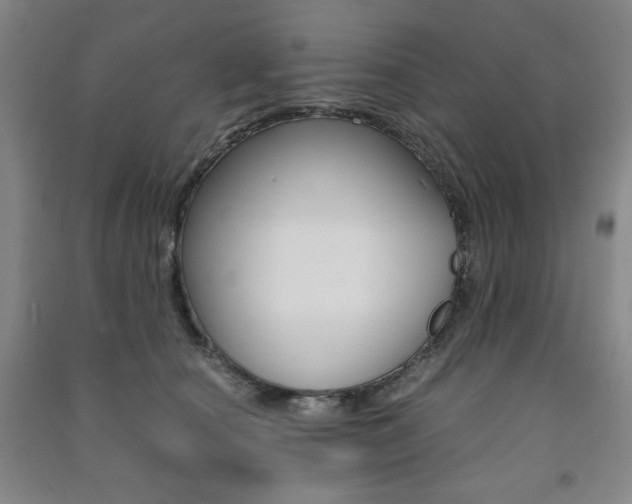 X0000091490660200708161211