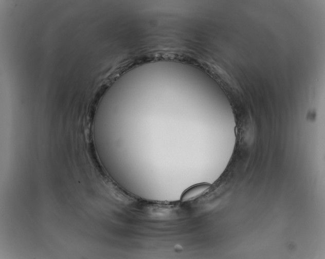 X0000091490661200708161211