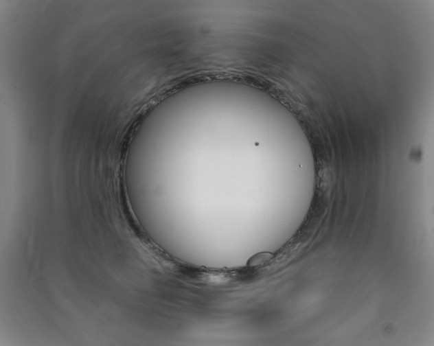 X0000091490662200708161211