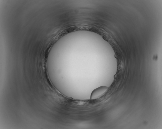 X0000091490663200708161211