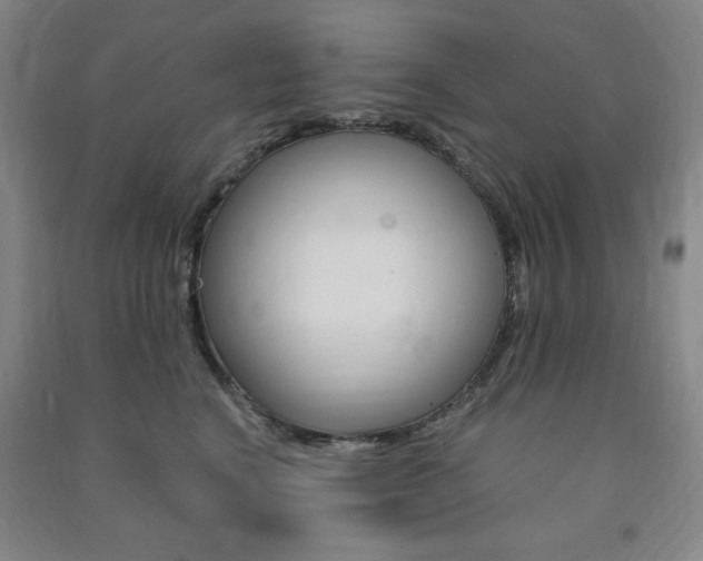 X0000091490664200708161211