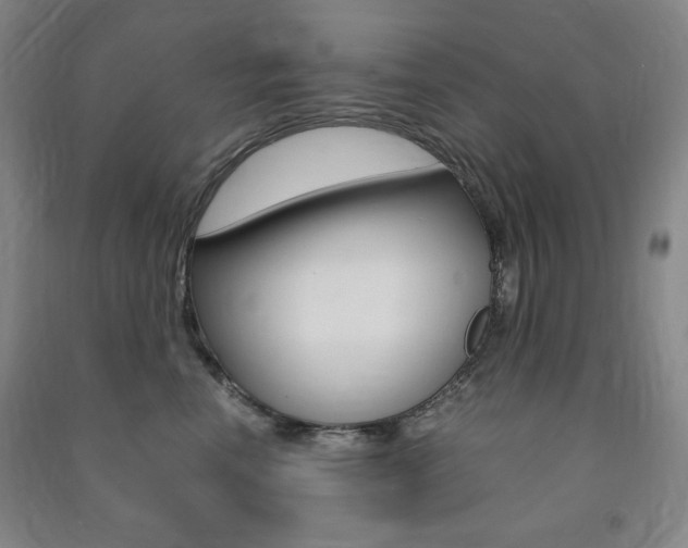 X0000091490666200708161211