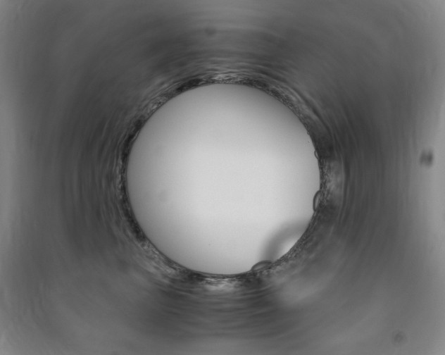 X0000091490667200708161211