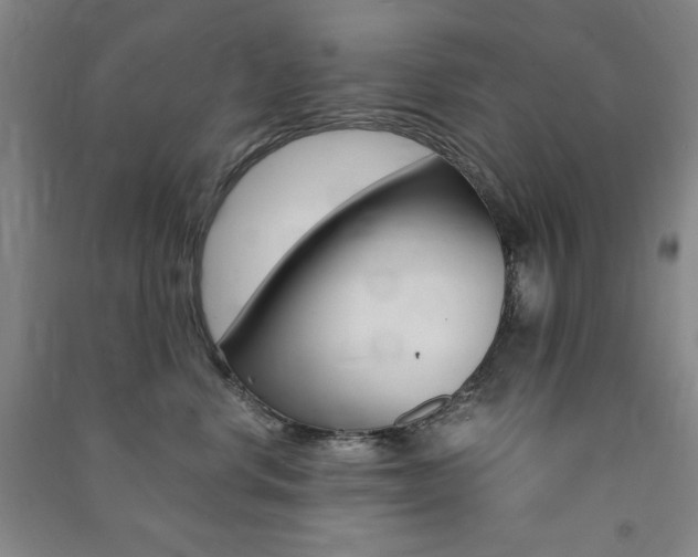 X0000091490668200708161211