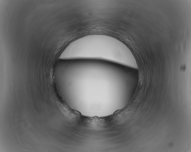 X0000091490670200708161211