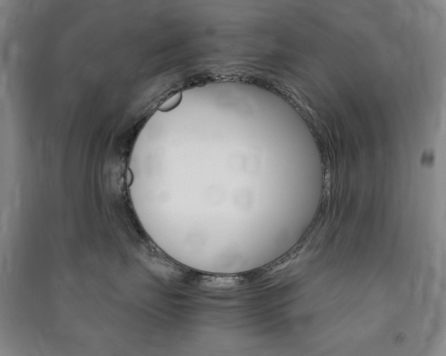 X0000091490671200708161211