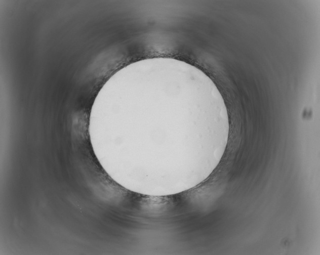 X0000091490672200708161211