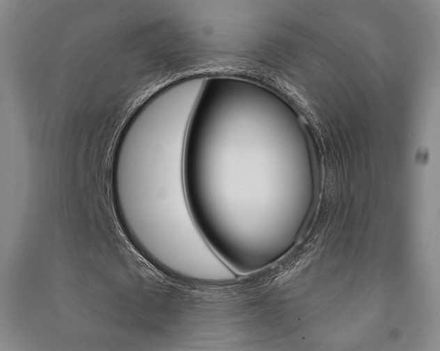 X0000091490673200708161211