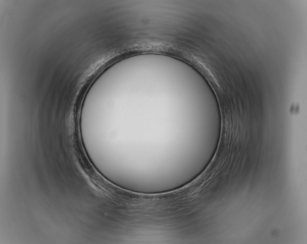 X0000091490674200708161211