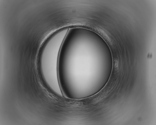 X0000091490676200708161211