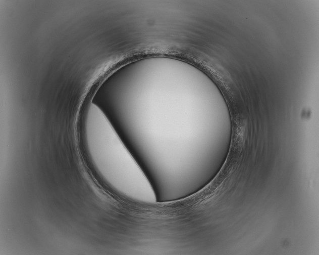 X0000091490678200708161211