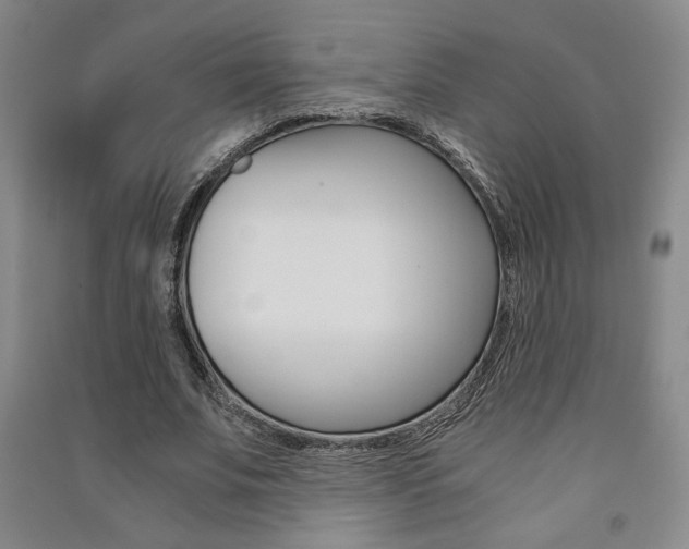 X0000091490679200708161211
