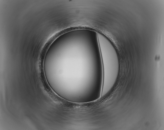 X0000091490680200708161211