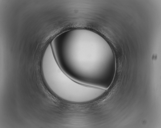 X0000091490681200708161211