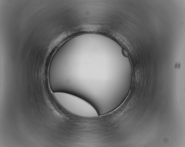 X0000091490682200708161211