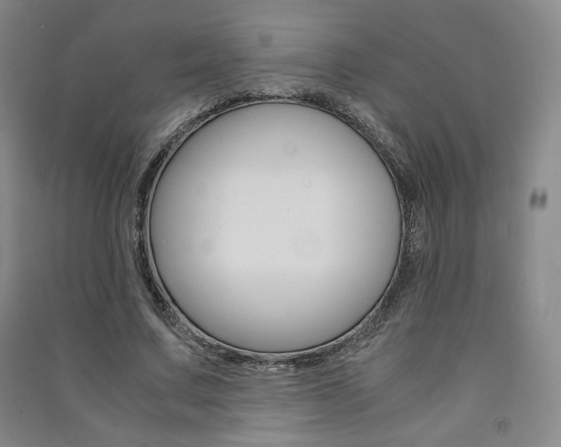 X0000091490683200708161211