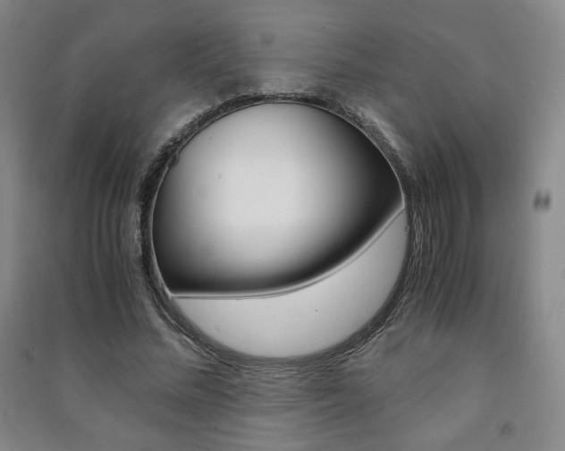 X0000091490684200708161210