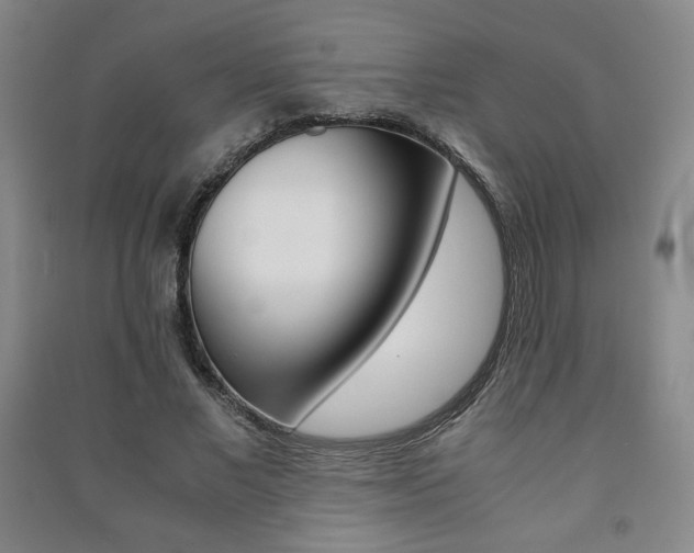 X0000091490685200708161210