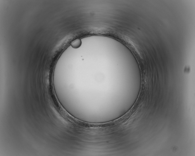 X0000091490686200708161210