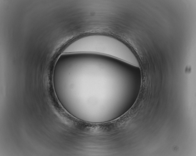 X0000091490688200708161210