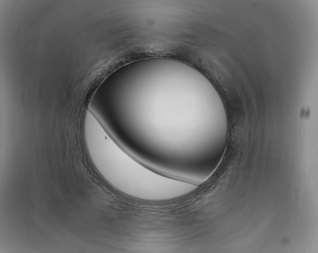 X0000091490689200708161210