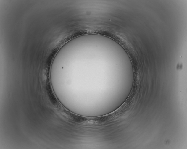 X0000091490691200708161210