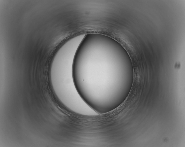 X0000091490692200708161210