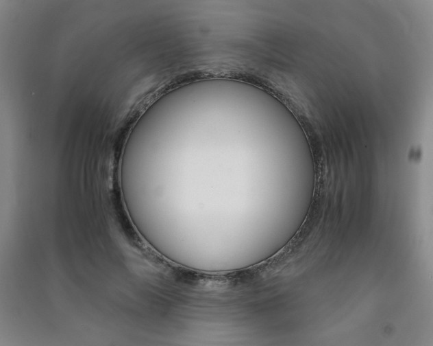 X0000091490694200708161210